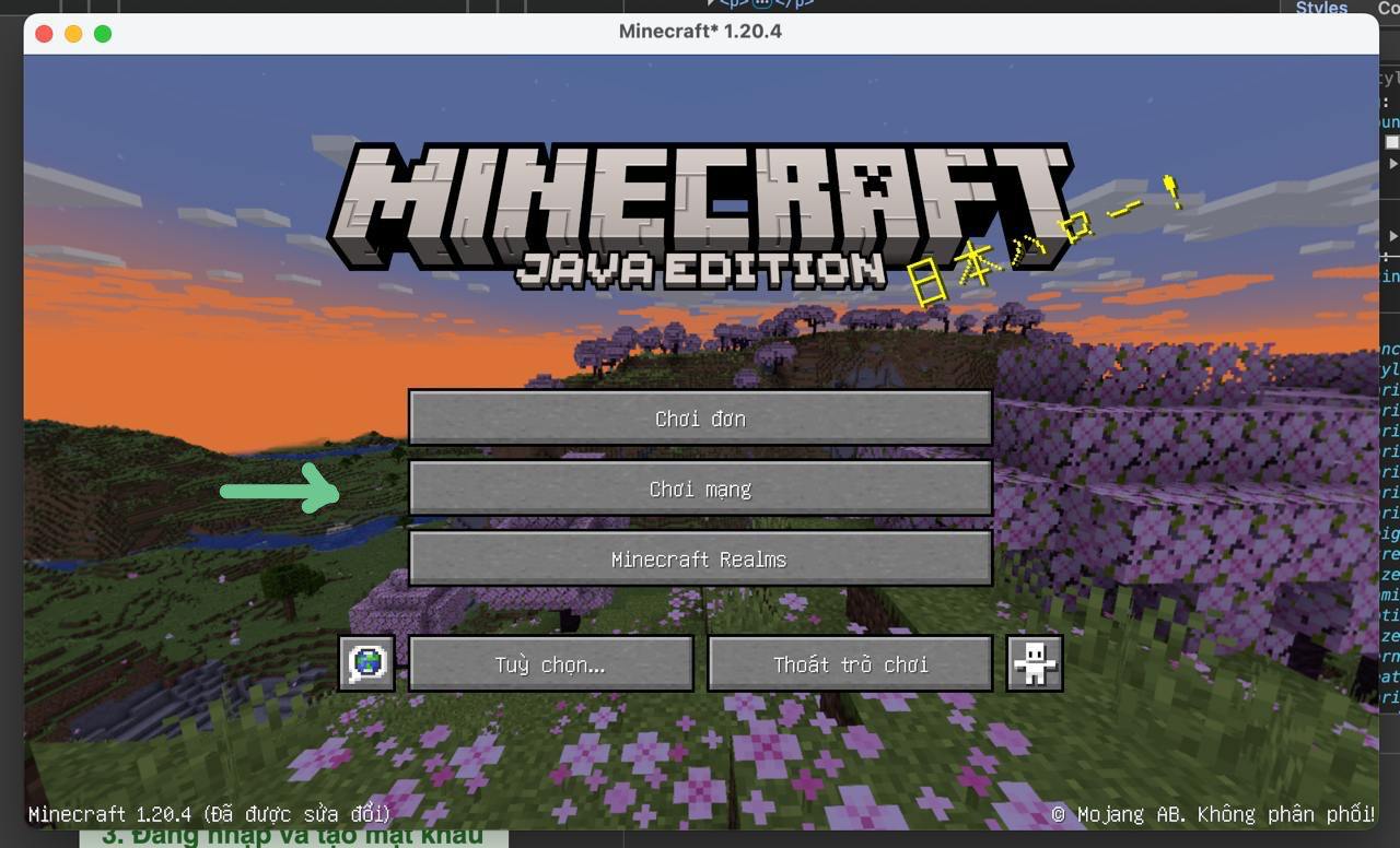 Minecraft Banner